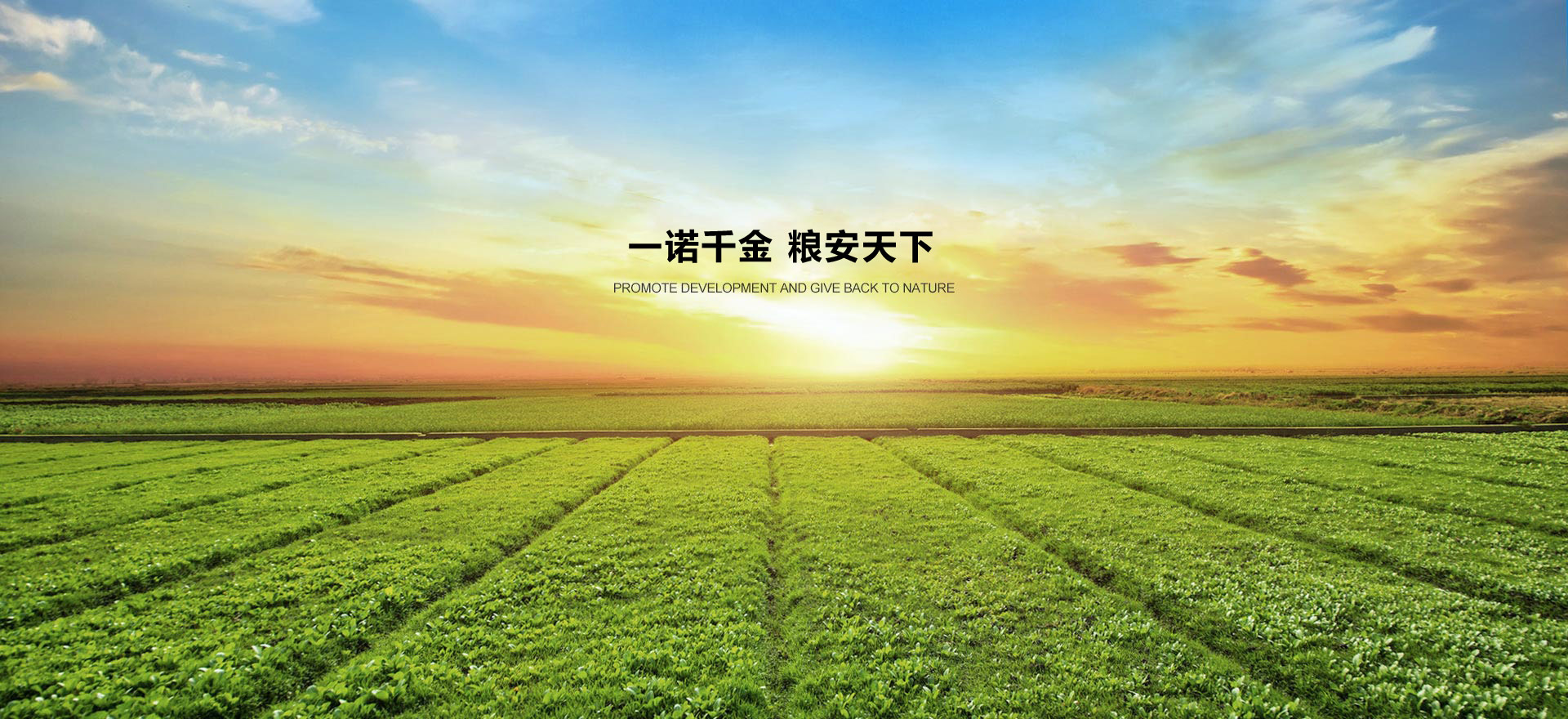 麻豆免费视频（ān）生態肥業