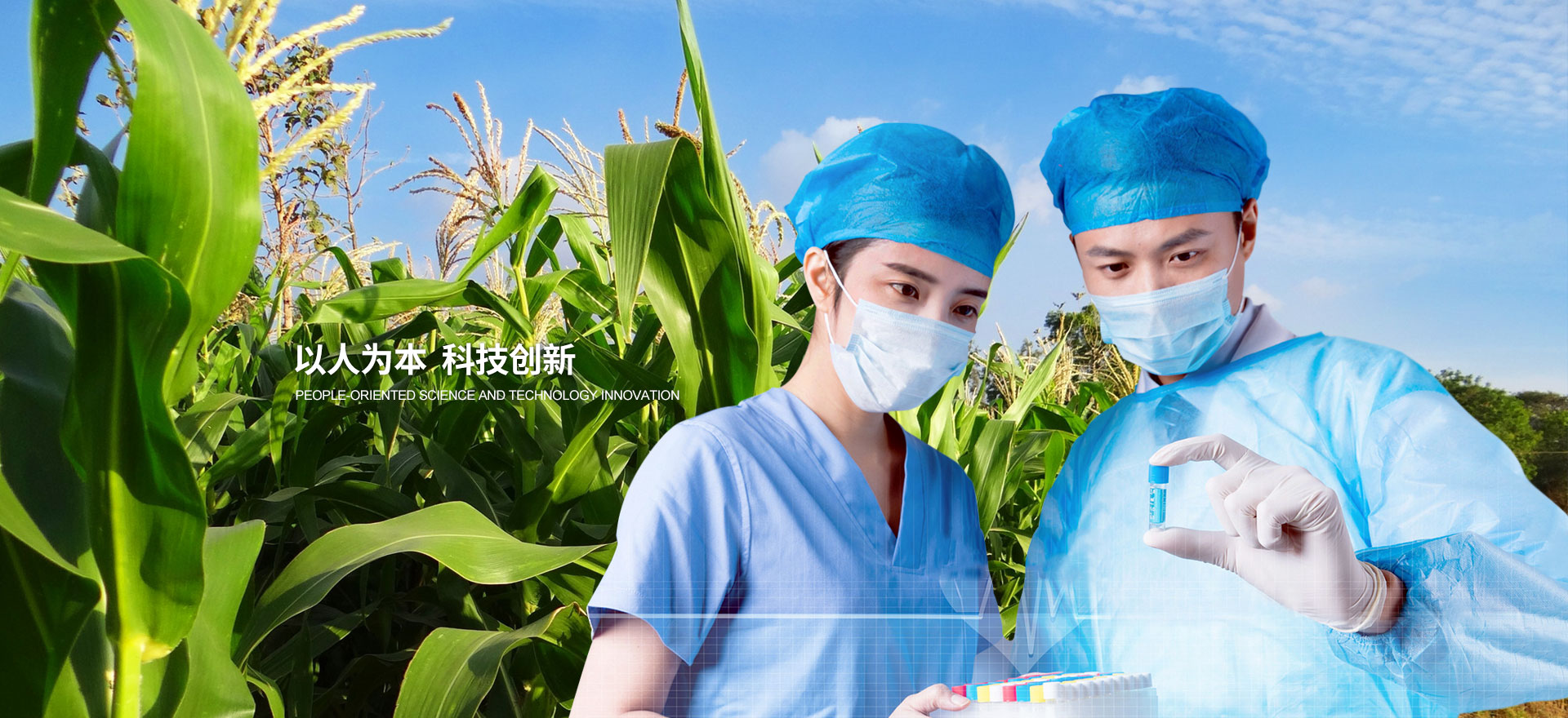 麻豆免费视频生態肥業